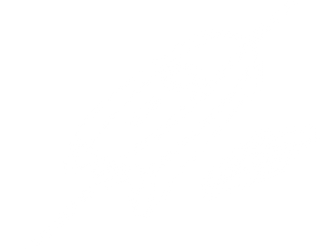 CS ONE illustration