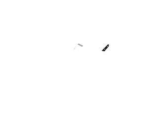 RB 3000 illustration